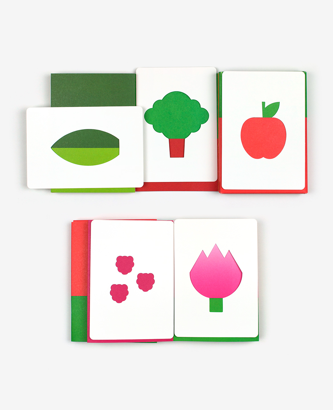 Feuille, arbre, pomme, framboises et tulipe dans le livre-jeu Hello tomato