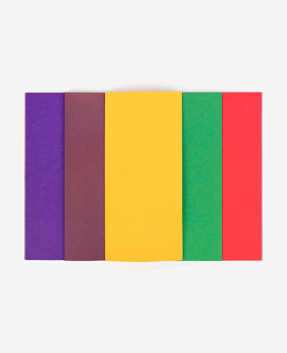 Bandes colorées violette, marron, jaune, verte et rouge du livre Strips