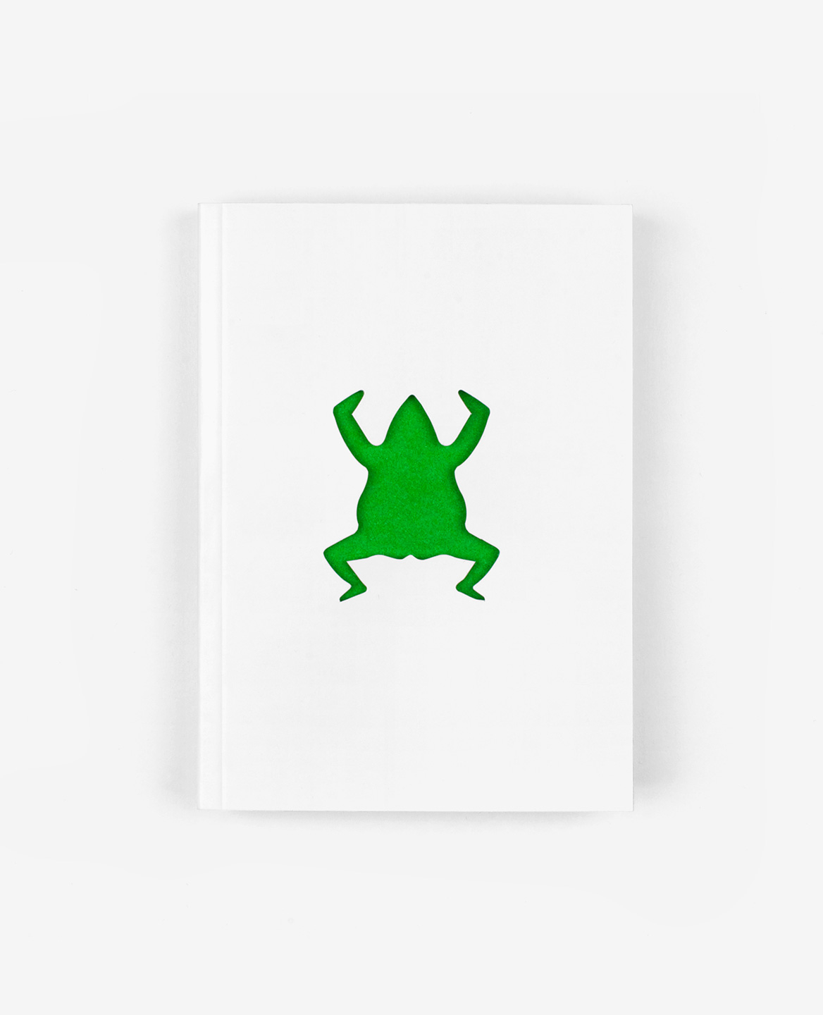 Green Frog on the cover of the book Zoo in my hand by Inkyeong & Sunkyung Kim published by Éditions du livre