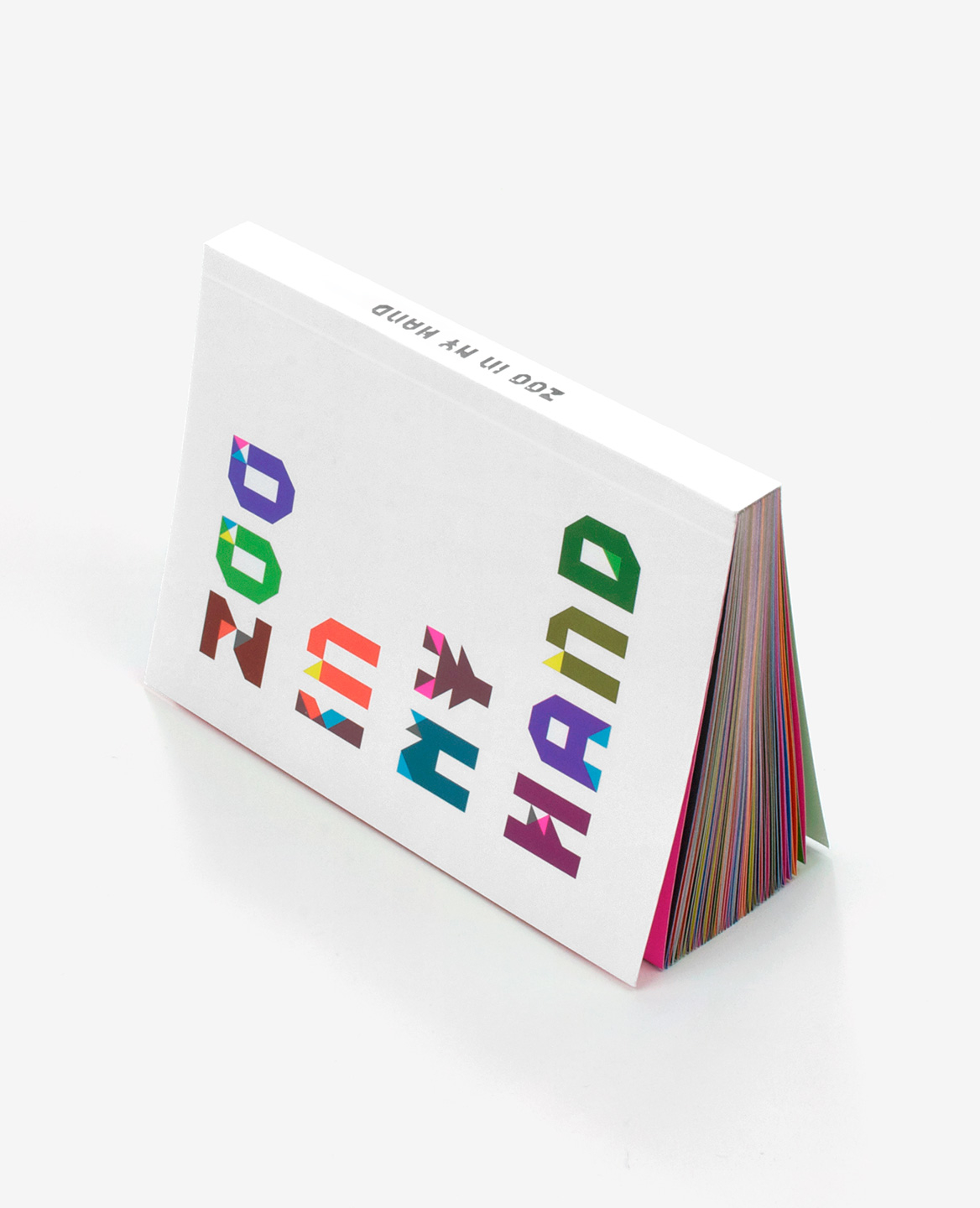 Geometric and colorful title of the book Zoo in my hand by Inkyeong & Sunkyung Kim published by Éditions du livre