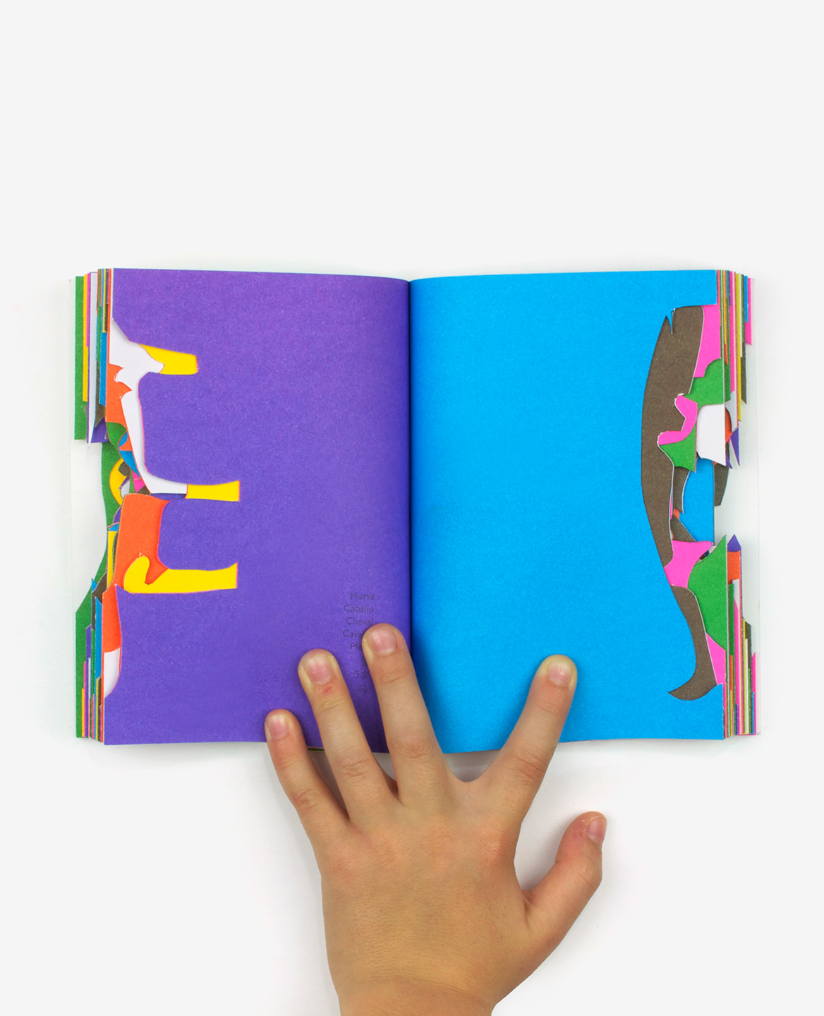 Colorful silhouettes of animals cut out from the book Zoo in my hand by Inkyeong & Sunkyung Kim published by Éditions du livre