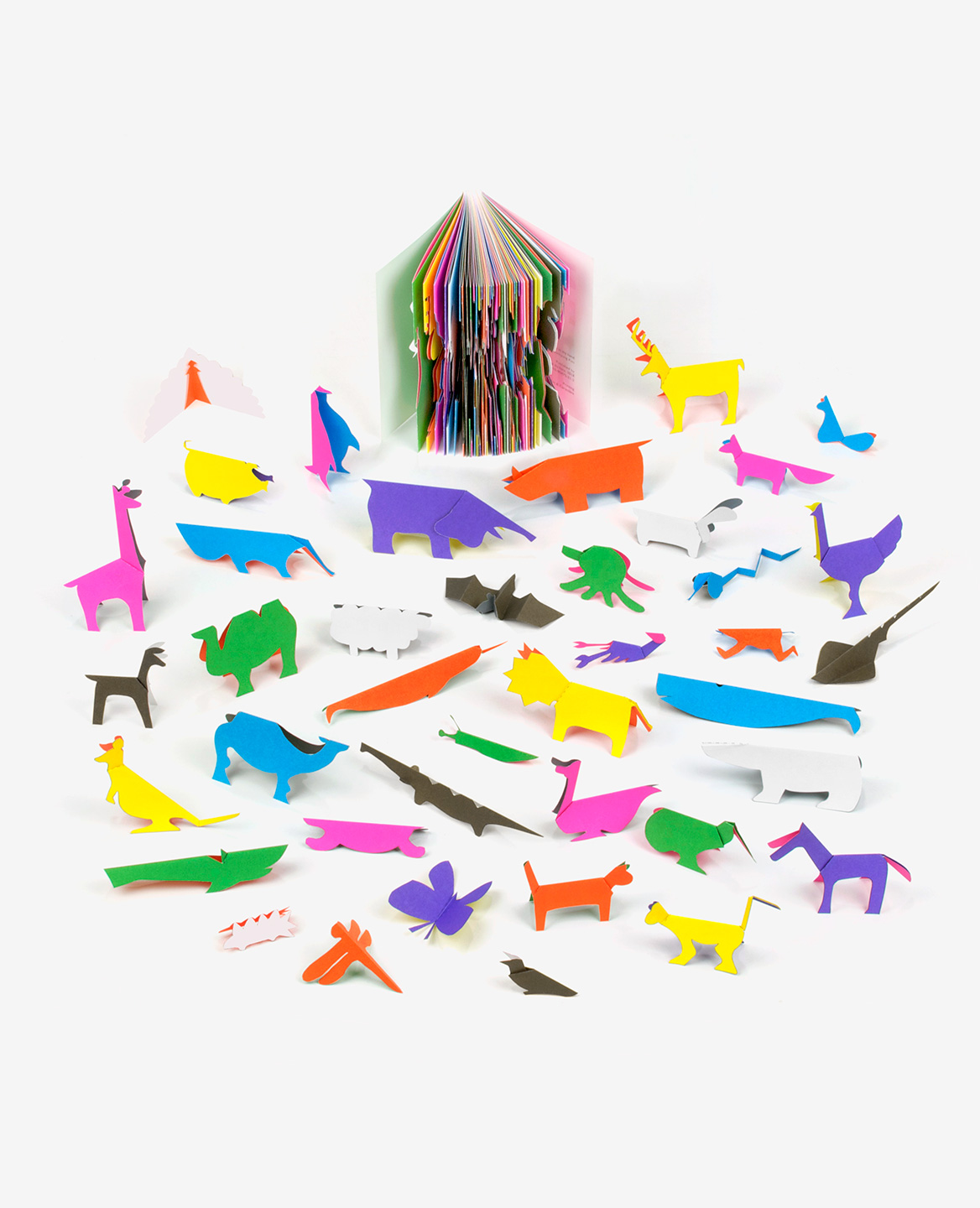 Animaux multicolores sortis du livre Zoo in my hand de Inkyeong & Sunkyung Kim publié par les Éditions du livre