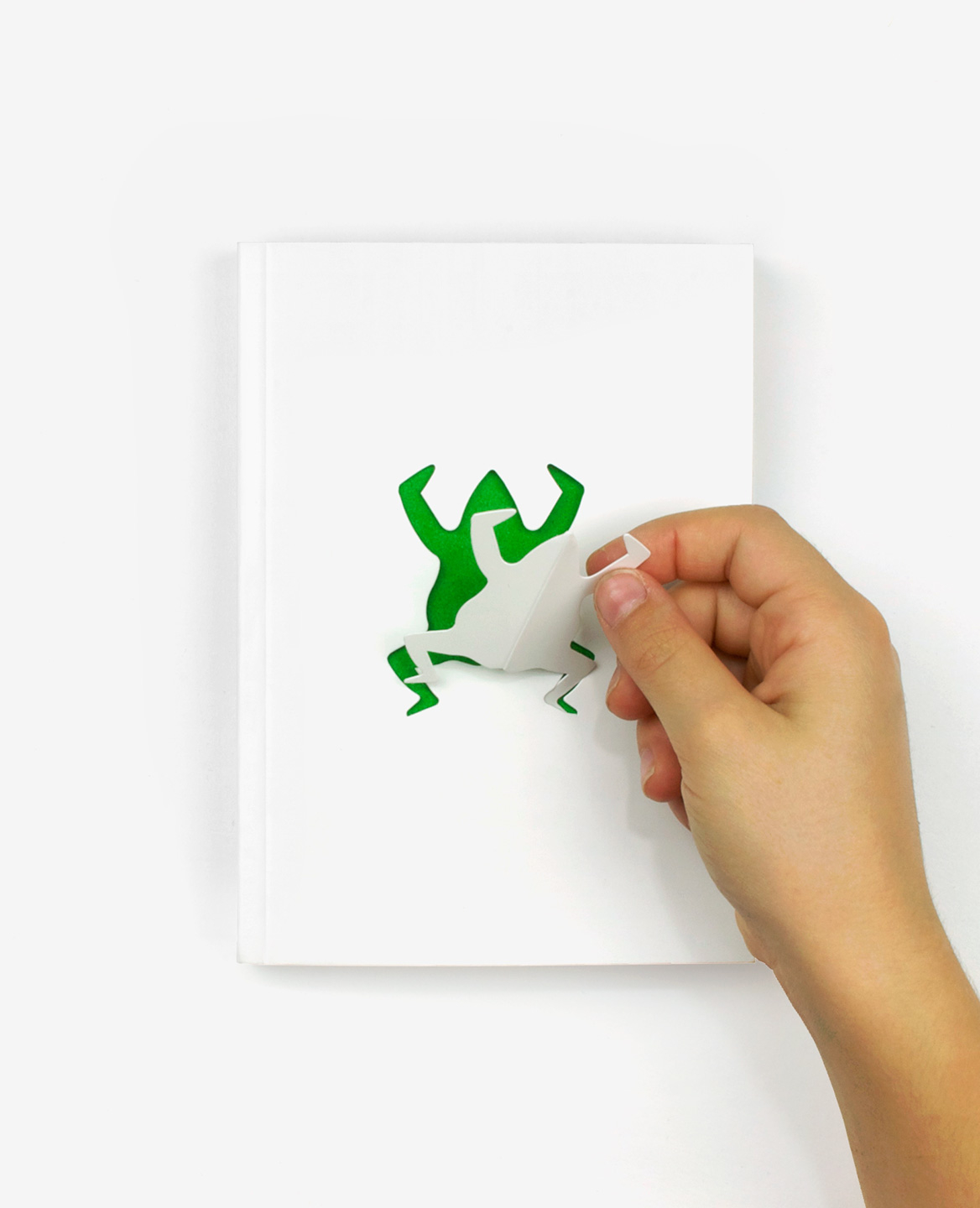 A child's hand stinging a paper frog from the cover of the book Zoo in my hand by Inkyeong & Sunkyung Kim published by Éditions du livre