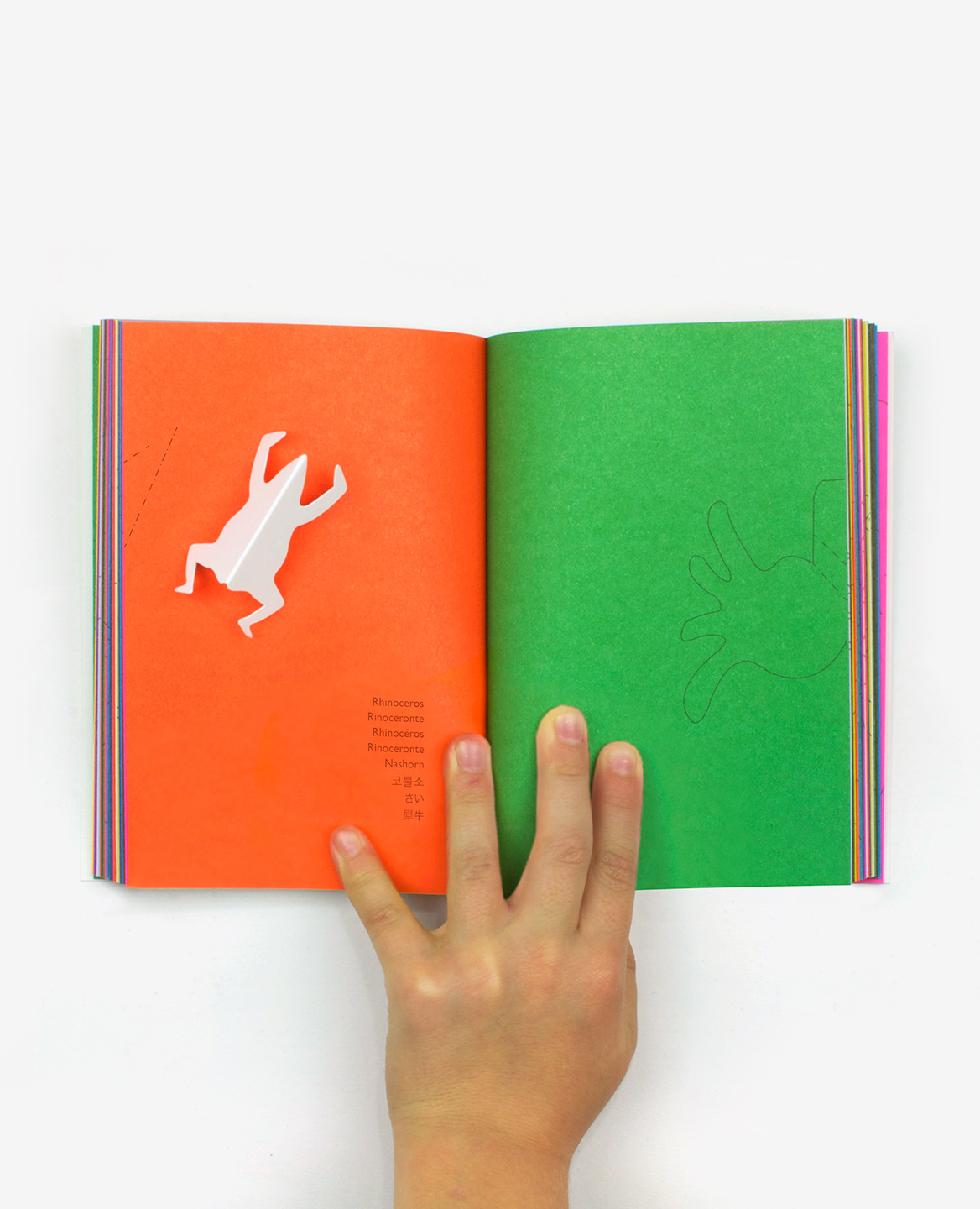 Orange and green double-page of the book Zoo in my hand by Inkyeong & Sunkyung Kim published by Éditions du livre