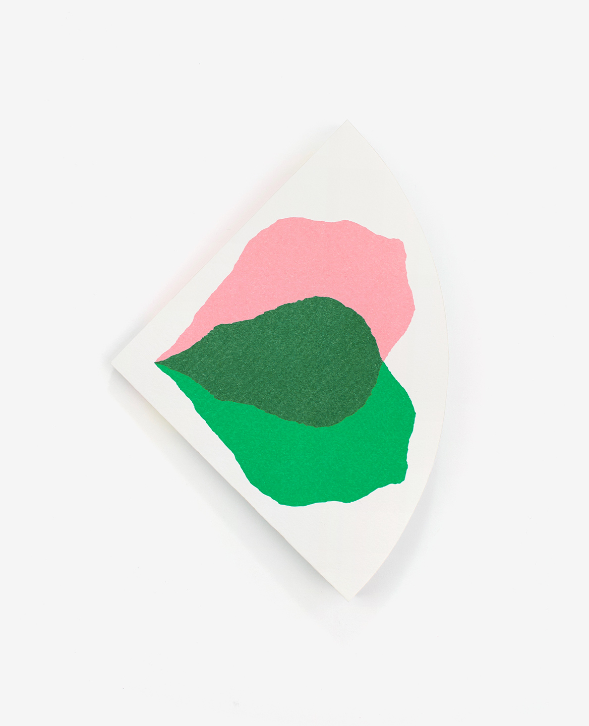 Cover of the book Bloom by Julie Safirstein published by Éditions du livre