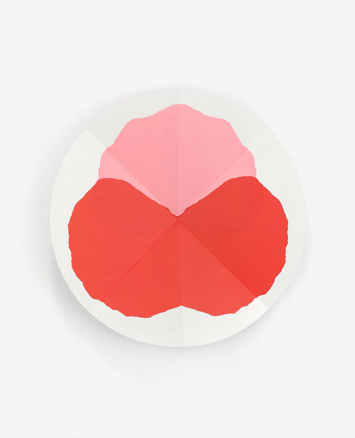 Pink and red flower from the book Bloom by Julie Safirstein