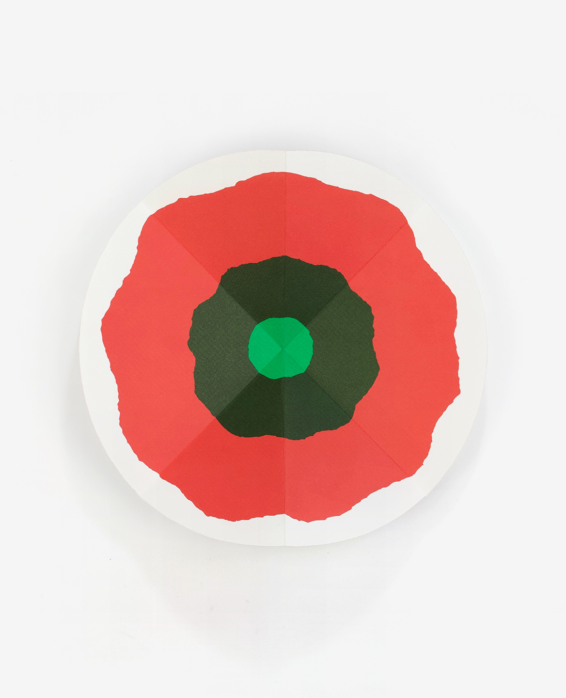 Coquelicot rouge dans le livre Bloom de Julie Safirstein