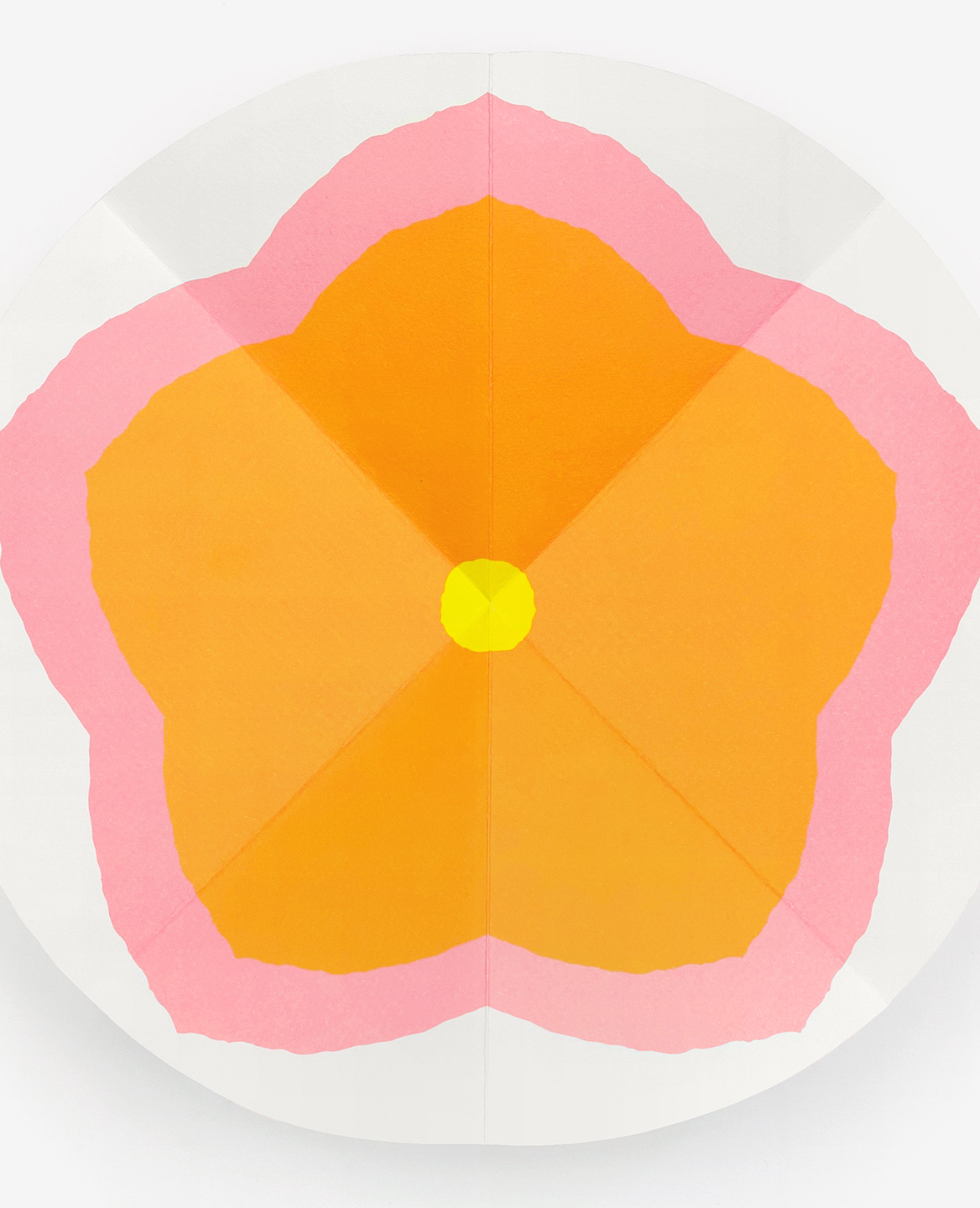 Gros plan d'une fleur rose, orange et jaune dans le livre Bloom de Julie Safirstein