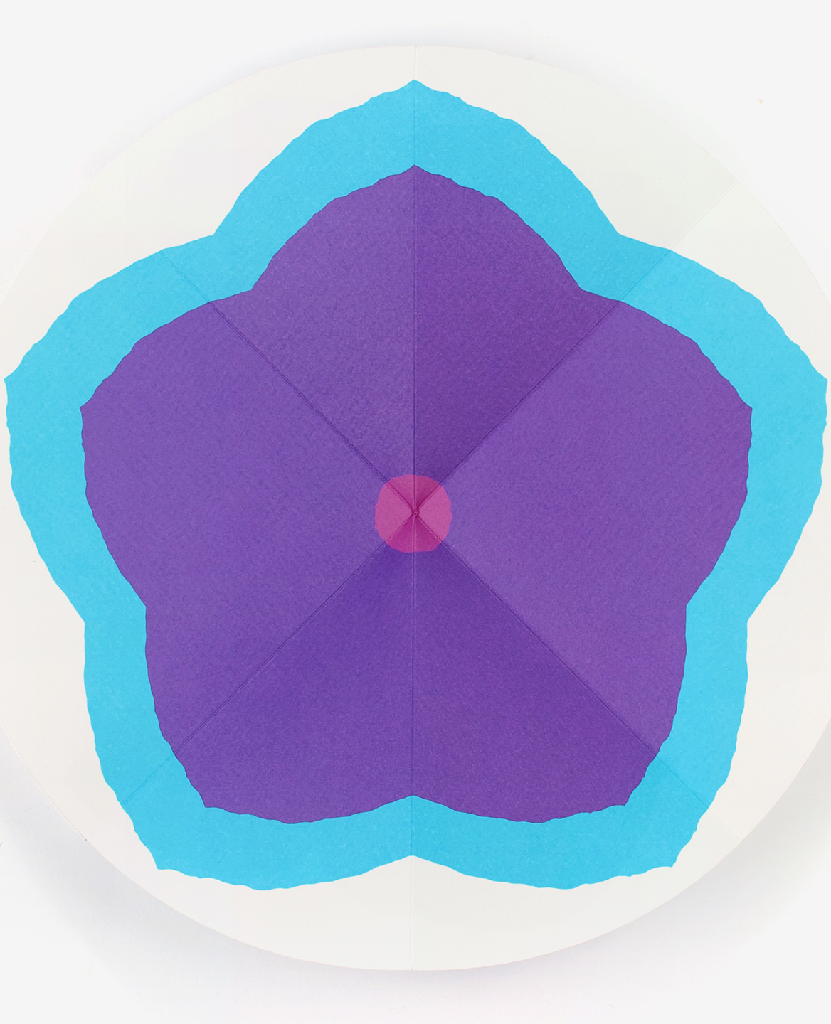 Close up of a blue and violet flower in the book Bloom by Julie Safirstein