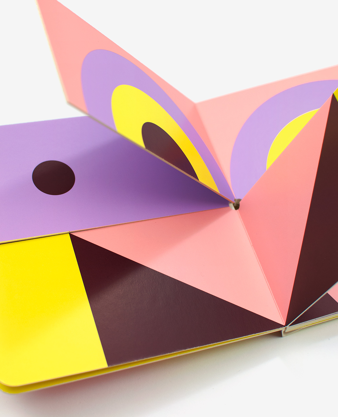 Detail of the mix ‘n’ match board book Birds by Damien Poulain