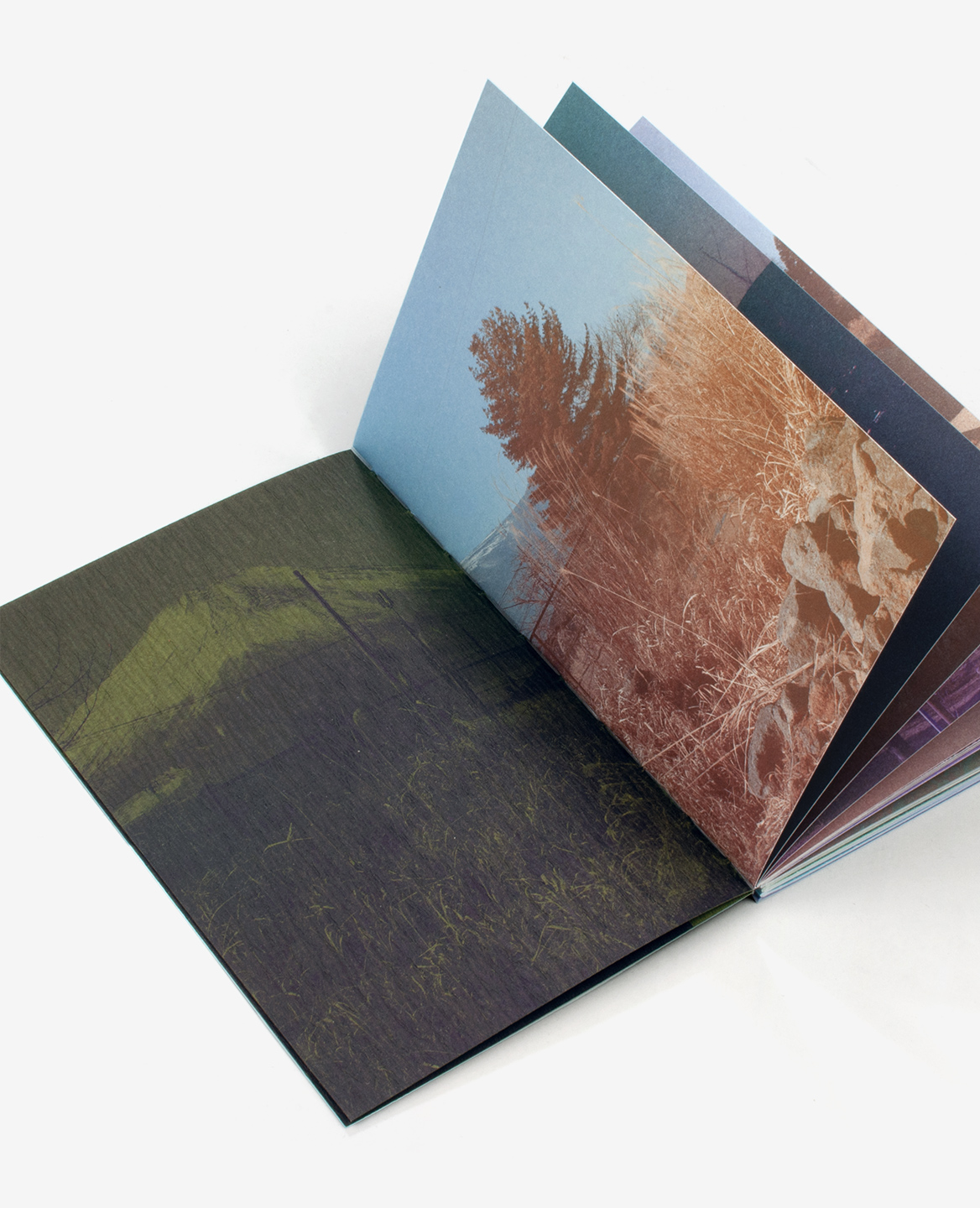 Troisième de couverture du livre Fuji de Fanette Mellier et Clément Vauchez